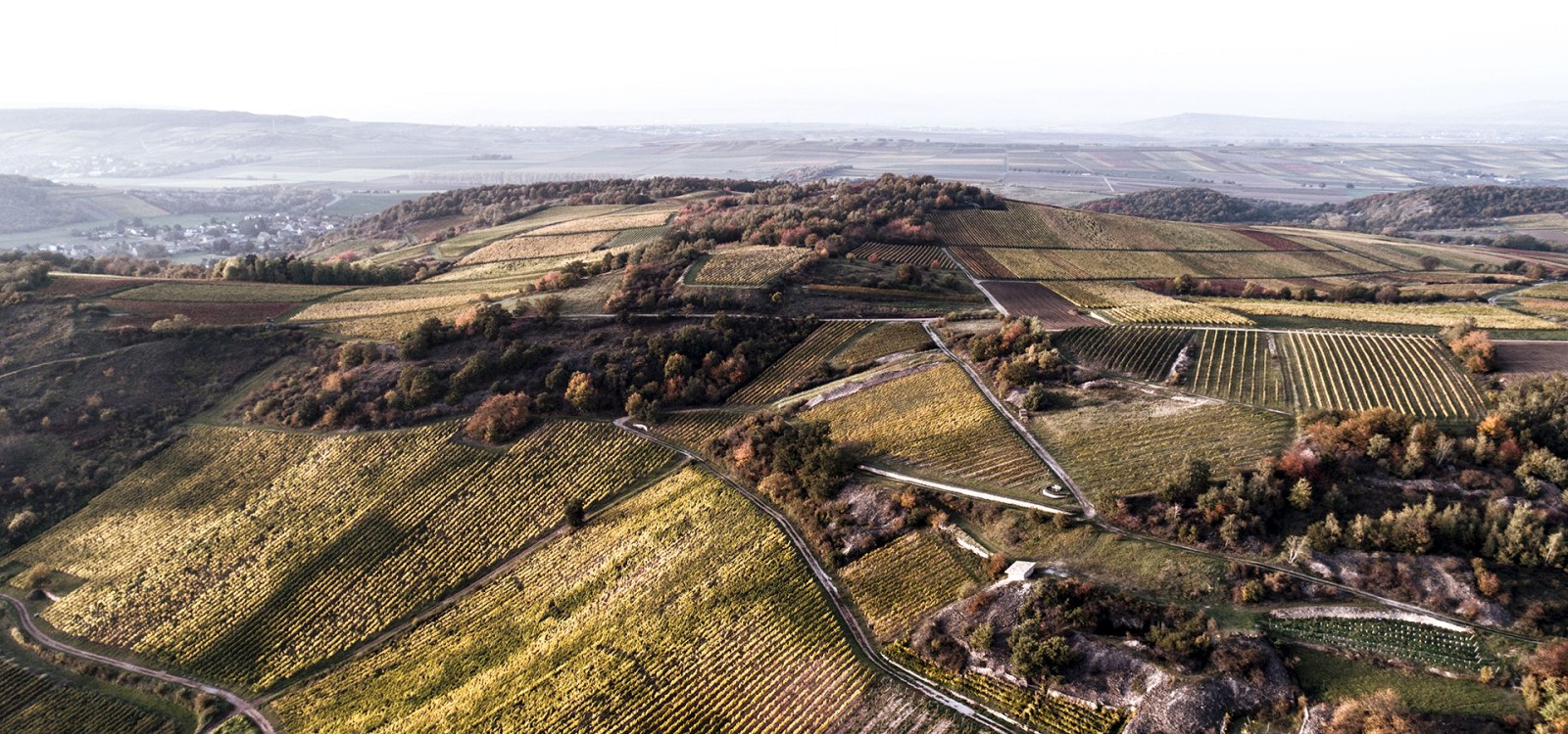 WagnerStempel_Landschaft_Horn_03 WagnerStempel_Landschaft_Horn_03