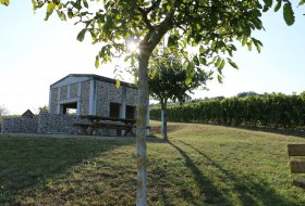 Weinbergsspaziergang Schiefster Turm der Welt © Angelika Friedrich Weinbergsspaziergang Schiefster Turm der Welt © Angelika Friedrich