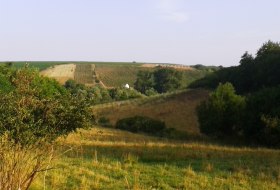 Blick ins Aulheimer Tal vom Küstenweg Flonheim Blick ins Aulheimer Tal vom Küstenweg Flonheim