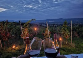 Weingut Claushof, © Weingut Claushof Weingut Claushof, © Weingut Claushof