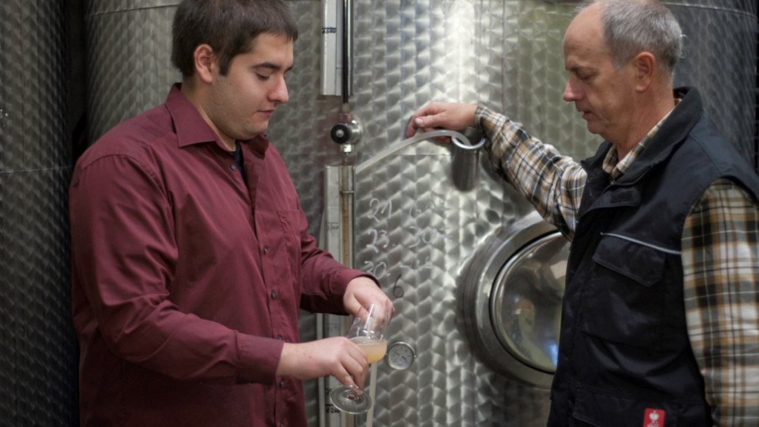 Weingut Wolfgang & René Peth_Weinkeller, © Weingut Wolfgang & René Peth Weingut Wolfgang & René Peth_Weinkeller, © Weingut Wolfgang & René Peth