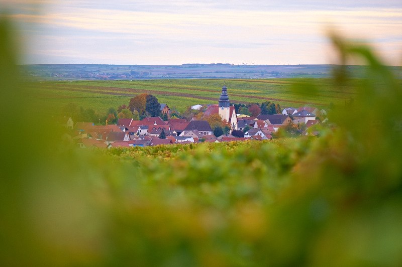 Weingut Schoeneck-Schnell_Ausblick, © Weingut Schoeneck-Schnell Weingut Schoeneck-Schnell_Ausblick, © Weingut Schoeneck-Schnell