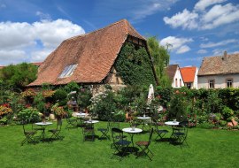 Augenwaide, © VG Monsheim, Fotograf Carsten Costard Augenwaide, © VG Monsheim, Fotograf Carsten Costard