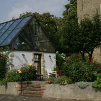 IMG_5125 IMG_5125