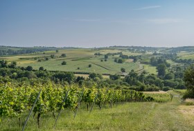 Rheingaublick mal anders Rheingaublick mal anders
