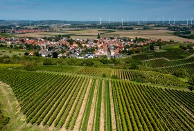 Siefersheimer Goldenes Horn Siefersheimer Goldenes Horn