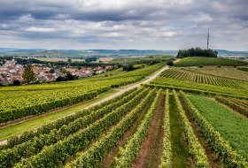 Hackenheimer Kirchberg Hackenheimer Kirchberg