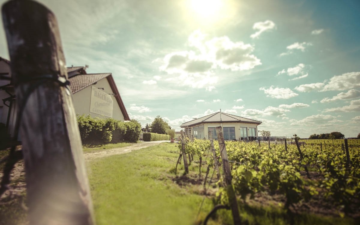 exterior-vinotheque-and-guesthouse, © Weingut Hagemann exterior-vinotheque-and-guesthouse, © Weingut Hagemann