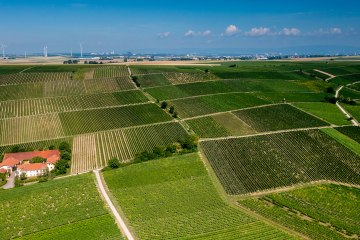 Bodenheimer Hoch Bodenheimer Hoch