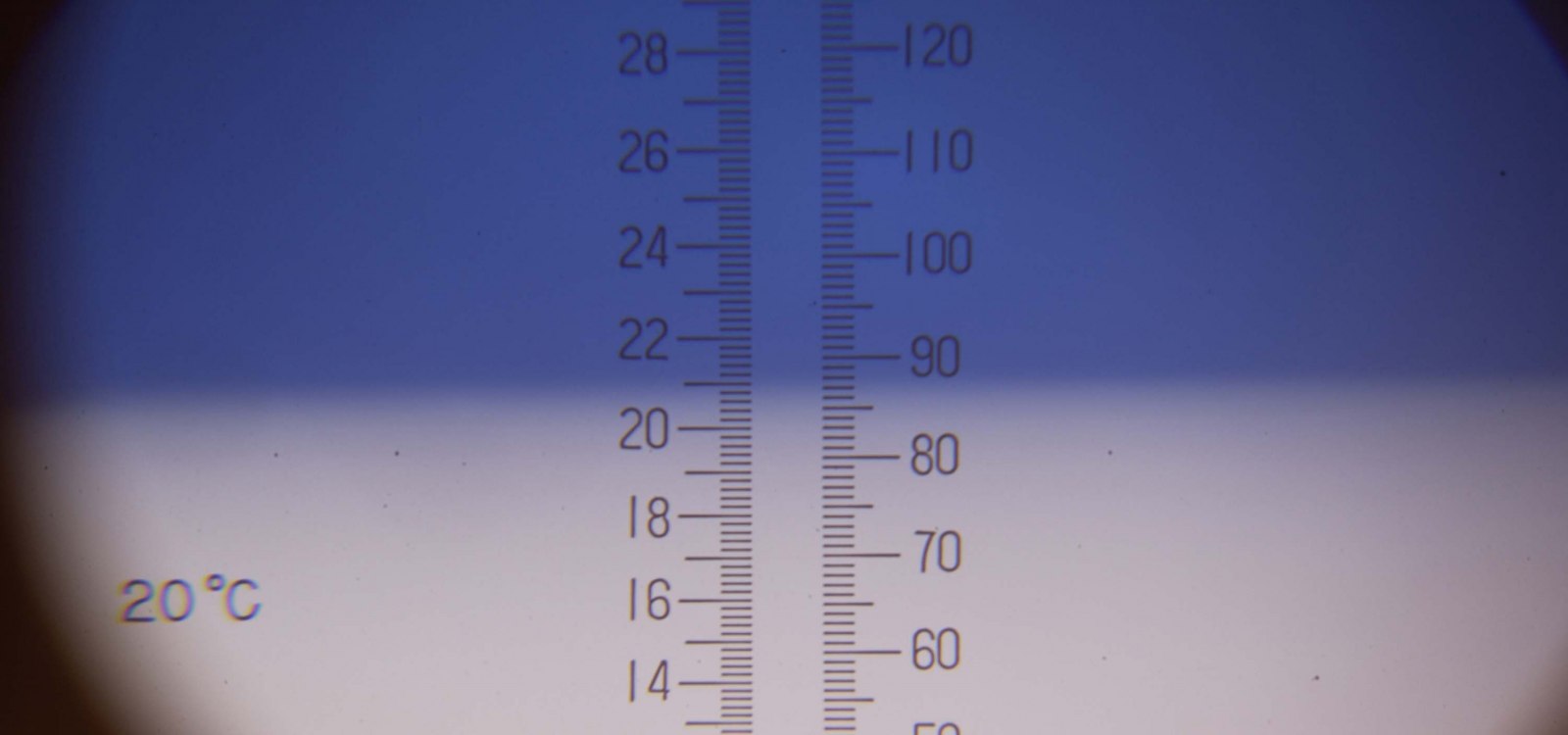 Ochsel, Mostgewicht, © DWI Ochsel, Mostgewicht, © DWI