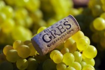 Weingut Gres_Kork, © Volker Oehl Weingut Gres_Kork, © Volker Oehl