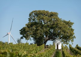 Trullo am Nußbaum Flörsheim-Dalsheim, © VG Monsheim, Fotograf Carsten Costard Trullo am Nußbaum Flörsheim-Dalsheim, © VG Monsheim, Fotograf Carsten Costard