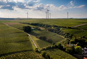 Alsheimer Fischerpfad Alsheimer Fischerpfad