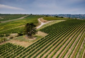 Selzener Osterberg Selzener Osterberg