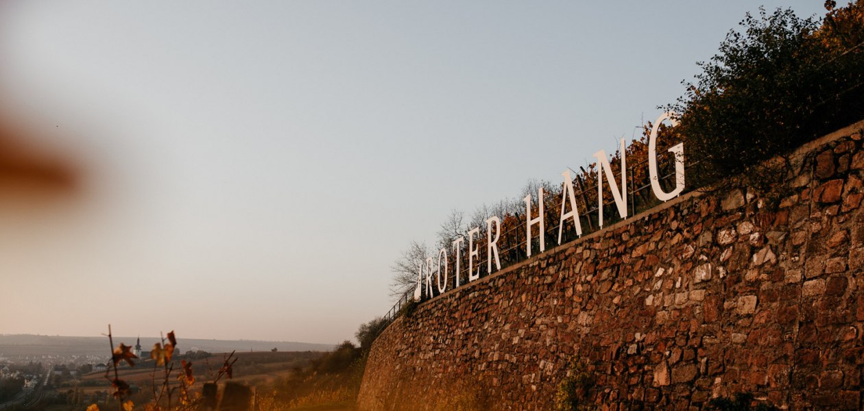 InesBarwig_WeingutEimermann_RoterHang-72 InesBarwig_WeingutEimermann_RoterHang-72