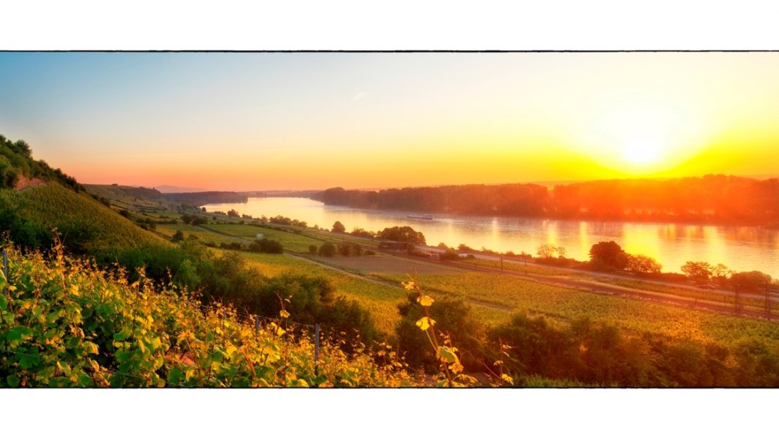 Weingut Heise am Kranzberg_Rhein, © Weingut Heise am Kranzberg Weingut Heise am Kranzberg_Rhein, © Weingut Heise am Kranzberg