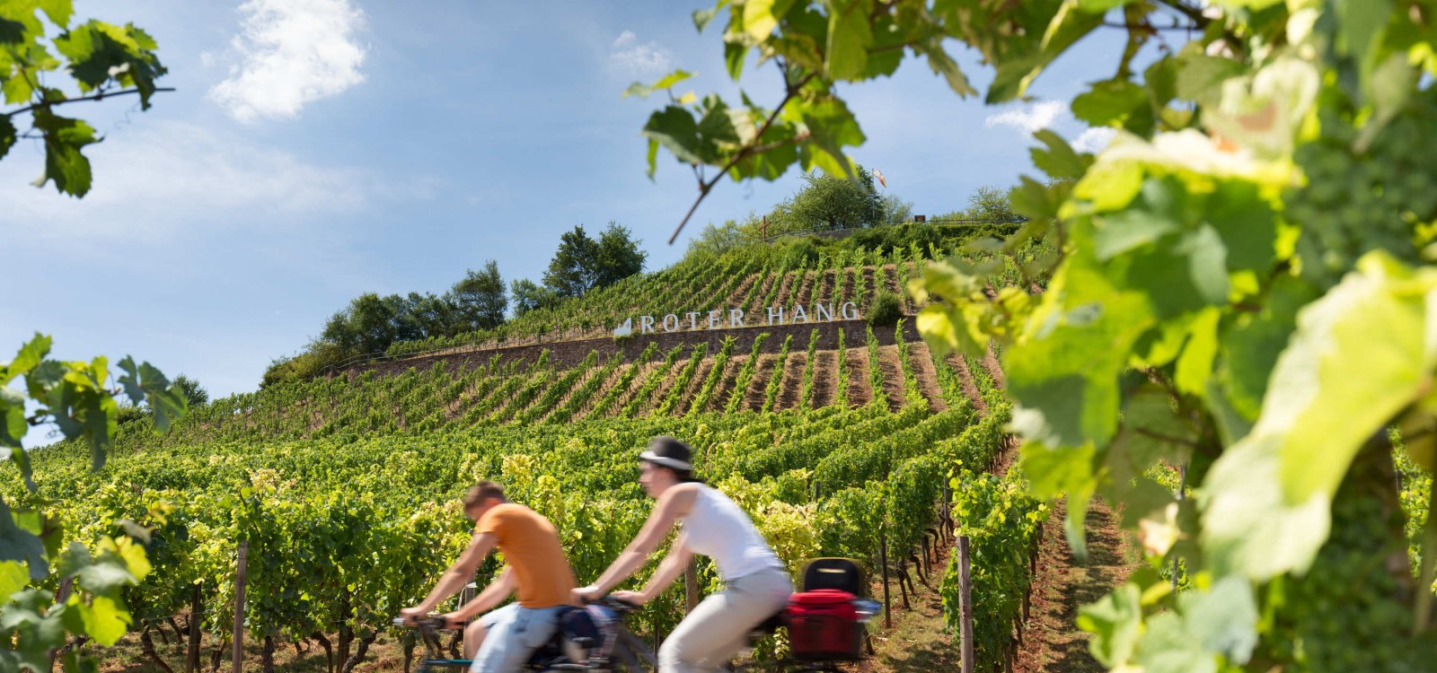 Cycling on the Red Hang, Nierstein, © Georg Knoll Cycling on the Red Hang, Nierstein, © Georg Knoll