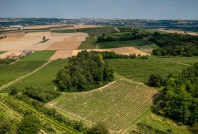 Stadecker Lenchen Stadecker Lenchen