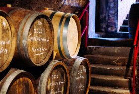 20230905_Weingut_Fischborn_Schenk_Web-41 20230905_Weingut_Fischborn_Schenk_Web-41