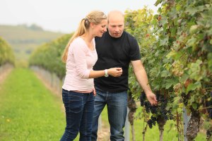klieber2, © Weingut Klieber klieber2, © Weingut Klieber