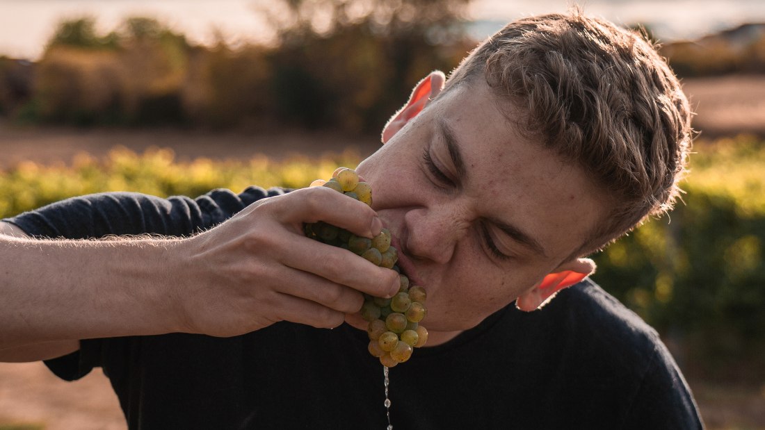 Jan 4, © Weingut Kaltenthaler Jan 4, © Weingut Kaltenthaler