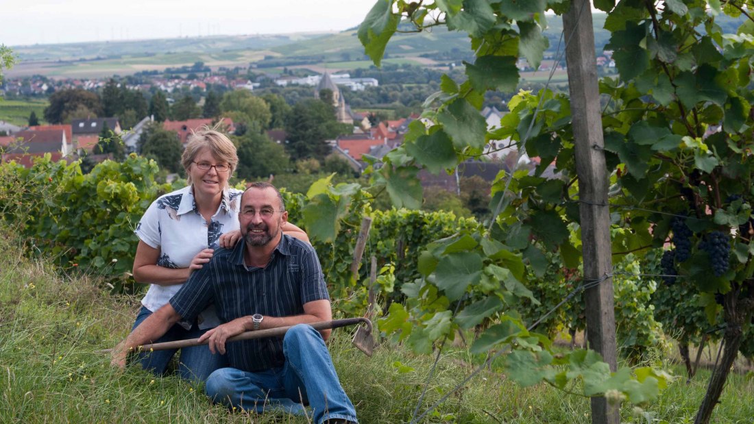 Weingut Weitzel, © Weingut Weitzel Weingut Weitzel, © Weingut Weitzel