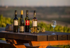 Weinflaschen © Winzerhof Schnabel Weinflaschen © Winzerhof Schnabel