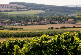 Flonheimer Binger Berg Flonheimer Binger Berg