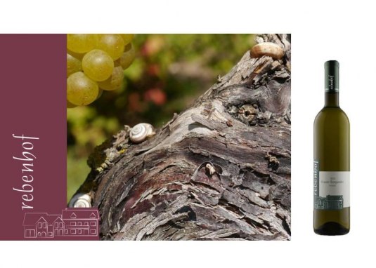 1 © Weingut Rebenhof 1 © Weingut Rebenhof