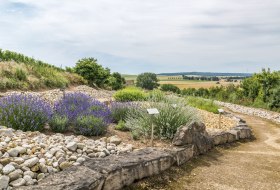 Ein Spaziergang durch die Urzeit der Geologie – der Strandpfad der Sinne (c)http://achimmeurer.com © http://achimmeurer.com Ein Spaziergang durch die Urzeit der Geologie – der Strandpfad der Sinne (c)http://achimmeurer.com © http://achimmeurer.com
