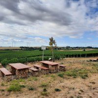 Sitzplatz Junghennblick Uelversheim 2 © TSC Rhein-Selz Sitzplatz Junghennblick Uelversheim 2 © TSC Rhein-Selz