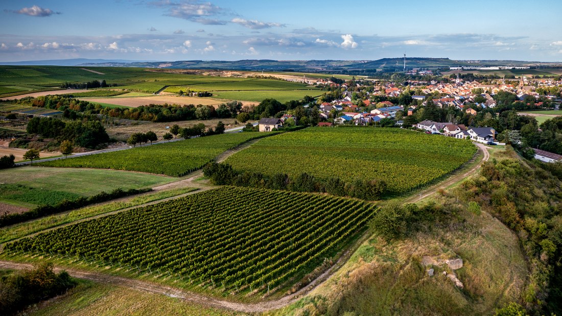 Wöllsteiner Ölberg Wöllsteiner Ölberg