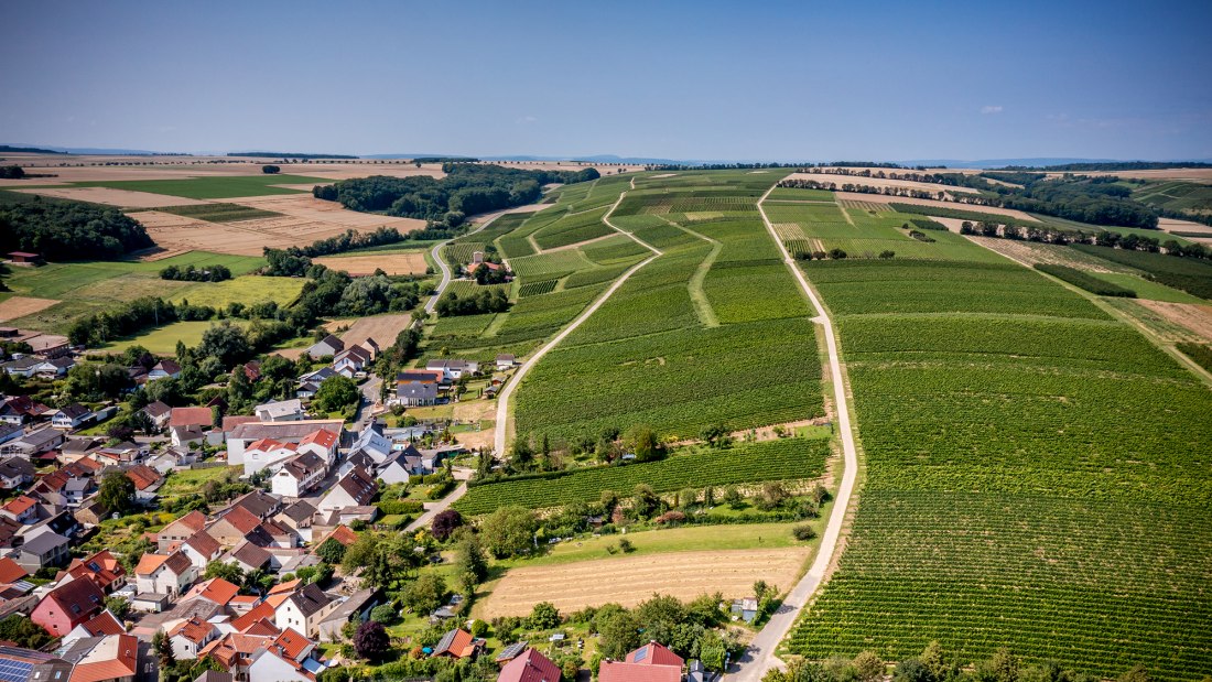 Appenheimer Eselspfad Appenheimer Eselspfad