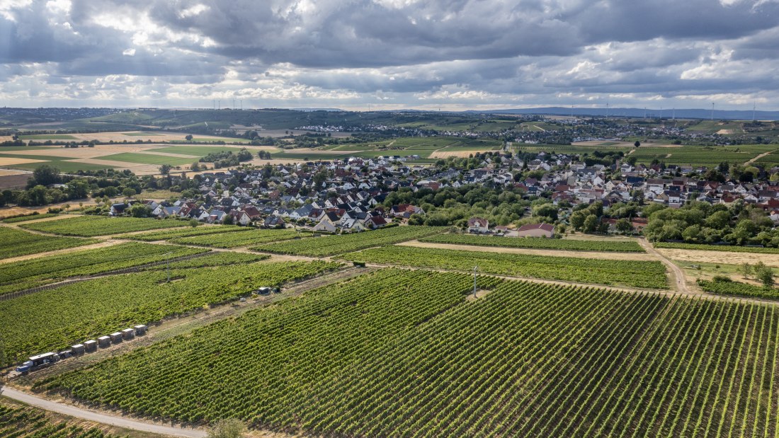 Lörzweiler Königstuhl Lörzweiler Königstuhl