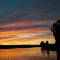 Der Rhein bei Nierstein © Schäffer Weinolsheim Der Rhein bei Nierstein © Schäffer Weinolsheim