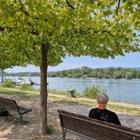 Rhine riverbank Heidenfahrt - view of the harbour and Inselrhein Rhine riverbank Heidenfahrt - view of the harbour and Inselrhein