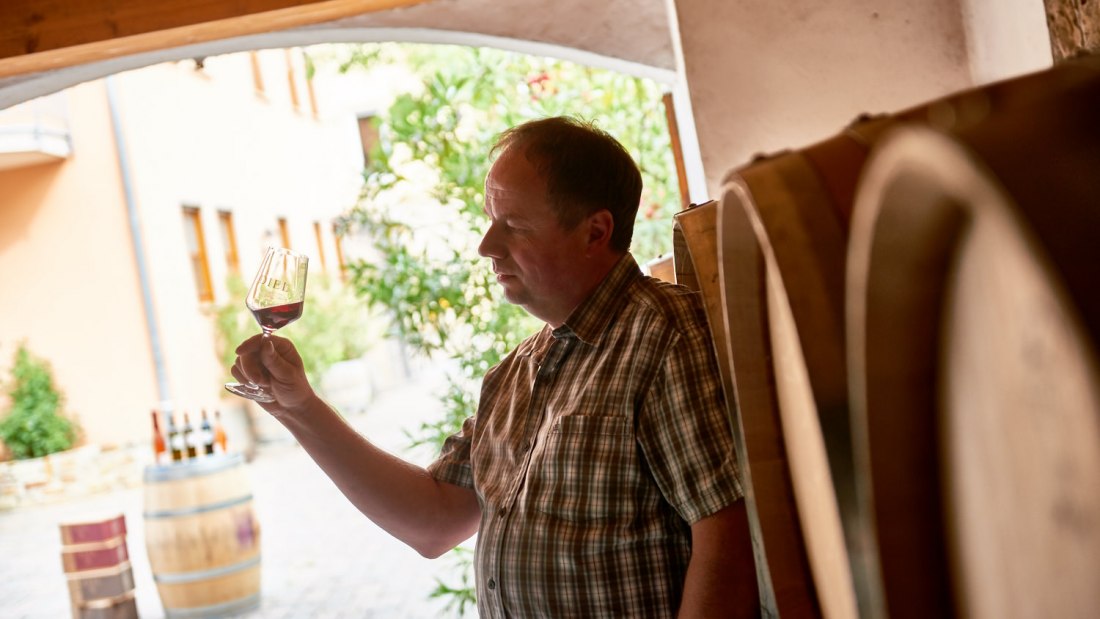 20150918_d800_5781_preview, © Weingut Diel 20150918_d800_5781_preview, © Weingut Diel