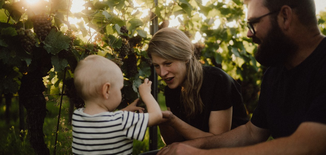 Ökologischer Weinbau Huster_Familienweingut Huster, © Ökologischer Weinbau Huster Ökologischer Weinbau Huster_Familienweingut Huster, © Ökologischer Weinbau Huster
