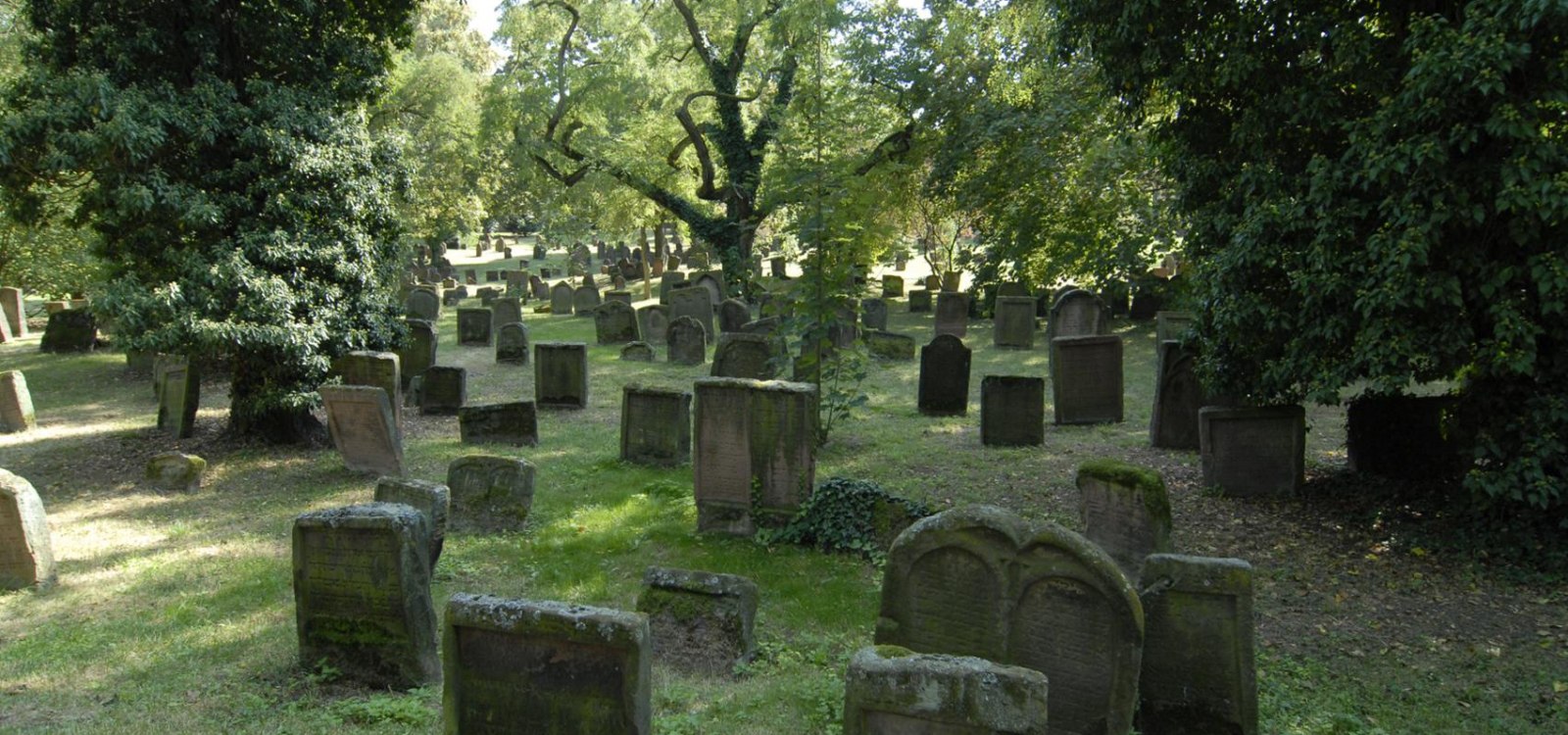 worms-juedischer-friedhof-c-uwe-feuerbach_uwe4870, © Uwe Feuerbach worms-juedischer-friedhof-c-uwe-feuerbach_uwe4870, © Uwe Feuerbach
