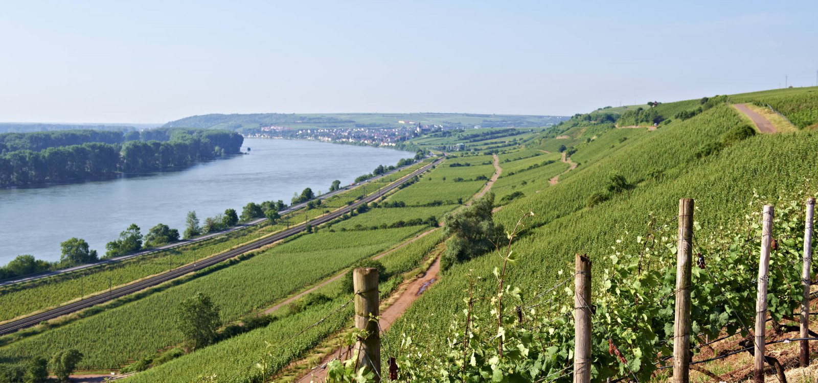 Panorama Roter Hang, © Robert Dieth www.dieth.com Panorama Roter Hang, © Robert Dieth www.dieth.com