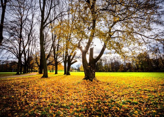 Wormser Wäldchen im Herbst © Tourist Information Worms Wormser Wäldchen im Herbst © Tourist Information Worms