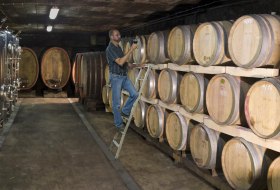 Weingut Weitzel © Weingut Weitzel Weingut Weitzel © Weingut Weitzel