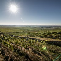 Weingut Geil Landschaft Weingut Geil Landschaft