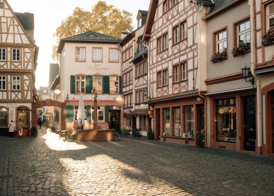 Kirschgarten © (c) Dominik Ketz_Rheinland-Pfalz Touristik GmbH Kirschgarten © (c) Dominik Ketz_Rheinland-Pfalz Touristik GmbH