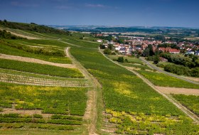 Jugenheimer Goldberg Jugenheimer Goldberg