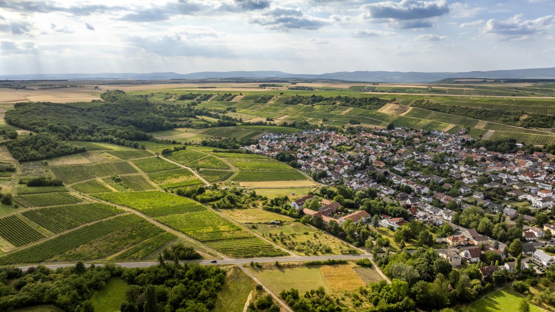 Partenheimer Sankt Georgen, © Torsten Silz Partenheimer Sankt Georgen, © Torsten Silz
