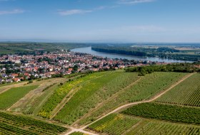 Niersteiner Parterberg-DJI_0222-178 Niersteiner Parterberg-DJI_0222-178