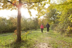 Wandern durch das Sesselbachtale bei Guntersblum © Michael Zellmer Wandern durch das Sesselbachtale bei Guntersblum © Michael Zellmer