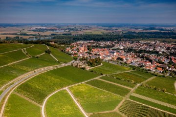 Oppenheimer Sackträger Oppenheimer Sackträger