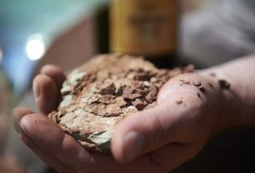 terroir terroir